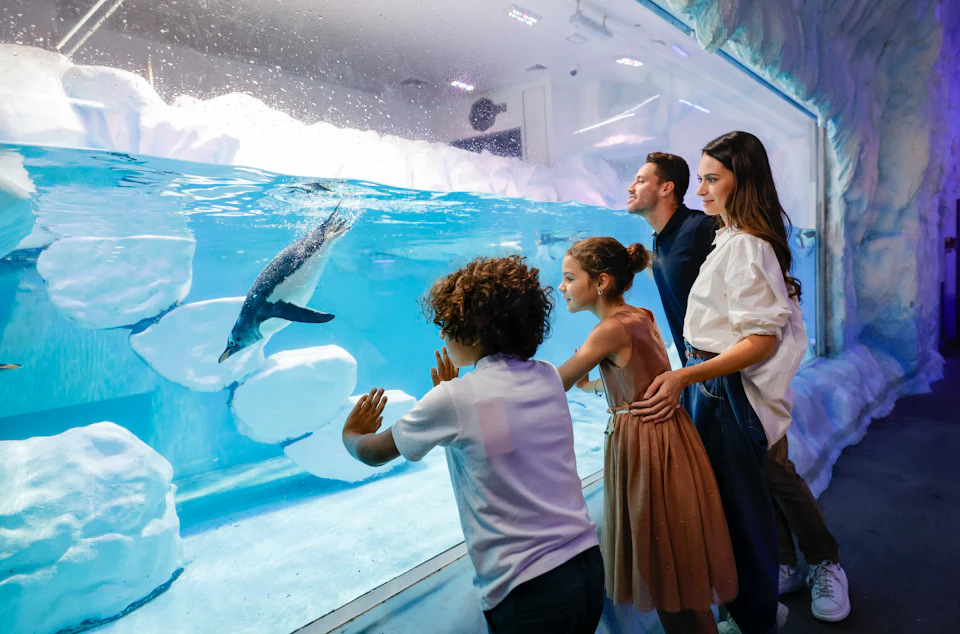 Dubai Aquarium & Underwater Zoo