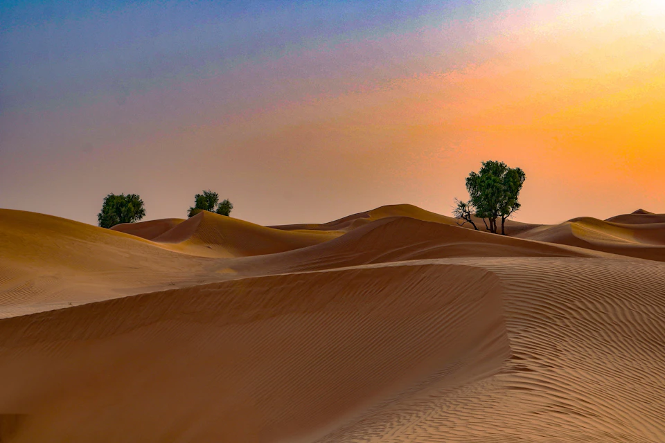 Dubai Desert Safaris