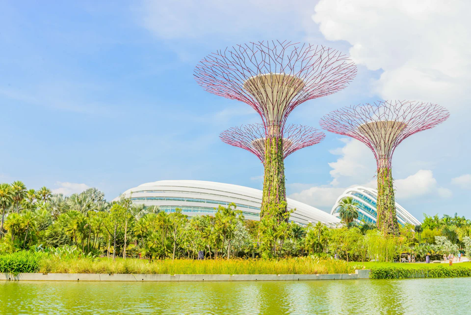 Gardens by the Bay, Singapore